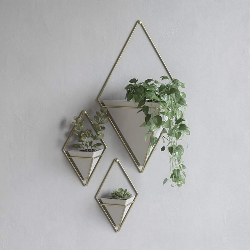 Vase & Geometric Wall Decor Container Great Pro Succulenta Plantarum Aeris Plantarum Faux Plantarum Ferri Plantarum